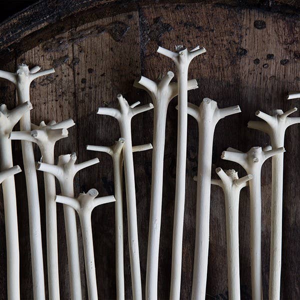 Cocktail Kingdom Bois Lélé (Swizzle Stick)