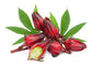 Brooklyn Brewed Sorrel, 750mL/25.4floz