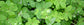 Brooklyn Brewed Sorrel, 750mL/25.4floz