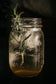 Heart's Content Pine Syrup, 250mL/8.5floz